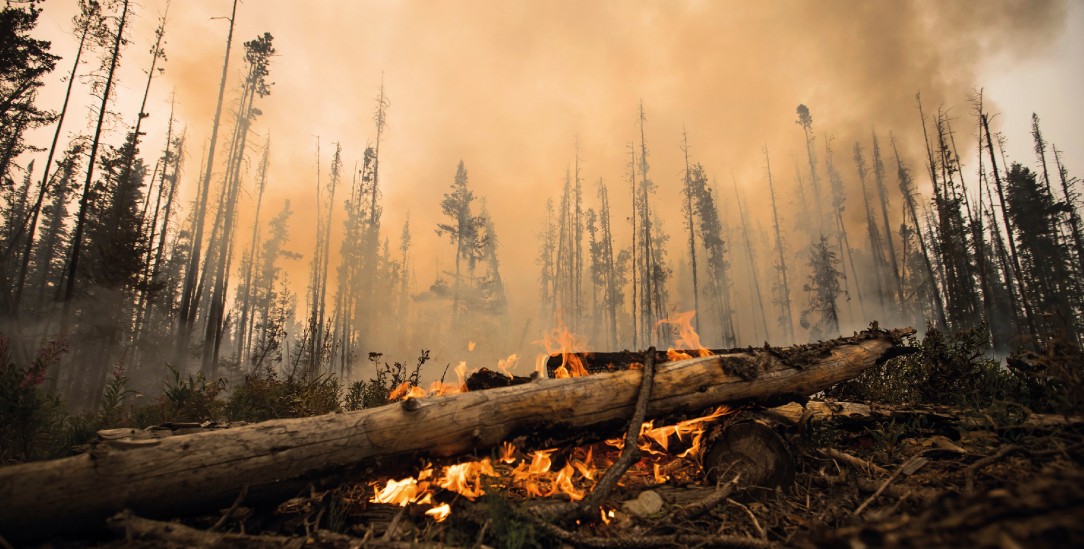 Die Wälder brennen, die Welt in der Klimakrise steht in Flammen: Das weckt starke Gefühle wie Wut, aber auch Angst, Trauer, Ohnmacht, Schuld und Scham. (Foto: PA/AP Images/Darryl Dyck) Die Wälder brennen, die Welt in der Klimakrise steht in Flammen: Das weckt starke Gefühle wie Wut, aber auch Angst, Trauer, Ohnmacht, Schuld und Scham. (Foto: PA/AP Images/Darryl Dyck)