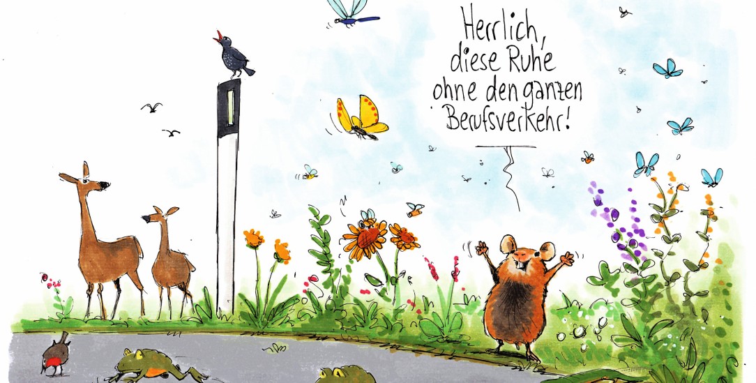 (Zeichnung: Mester) (Zeichnung: Mester)